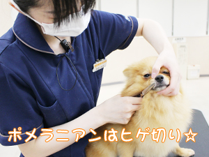 ２年生に向けて！先生の試技会♪②